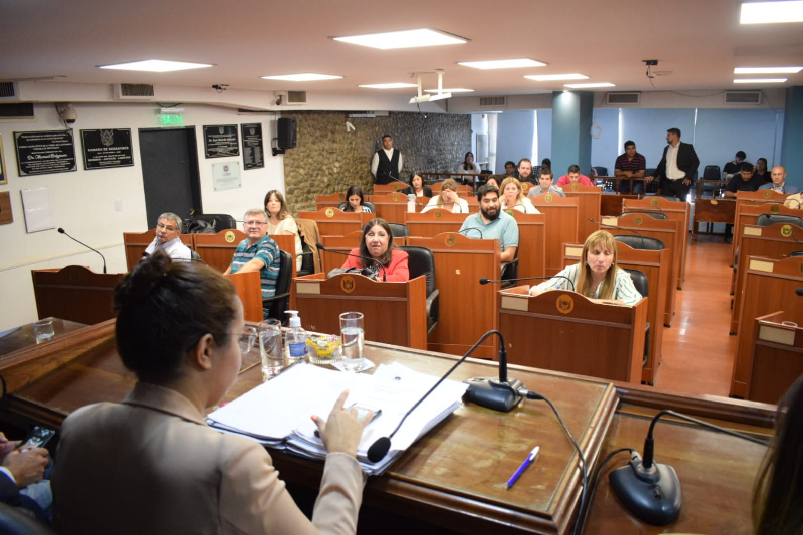 Funcionarios del Ejecutivo explicaron el proyecto de presupuesto