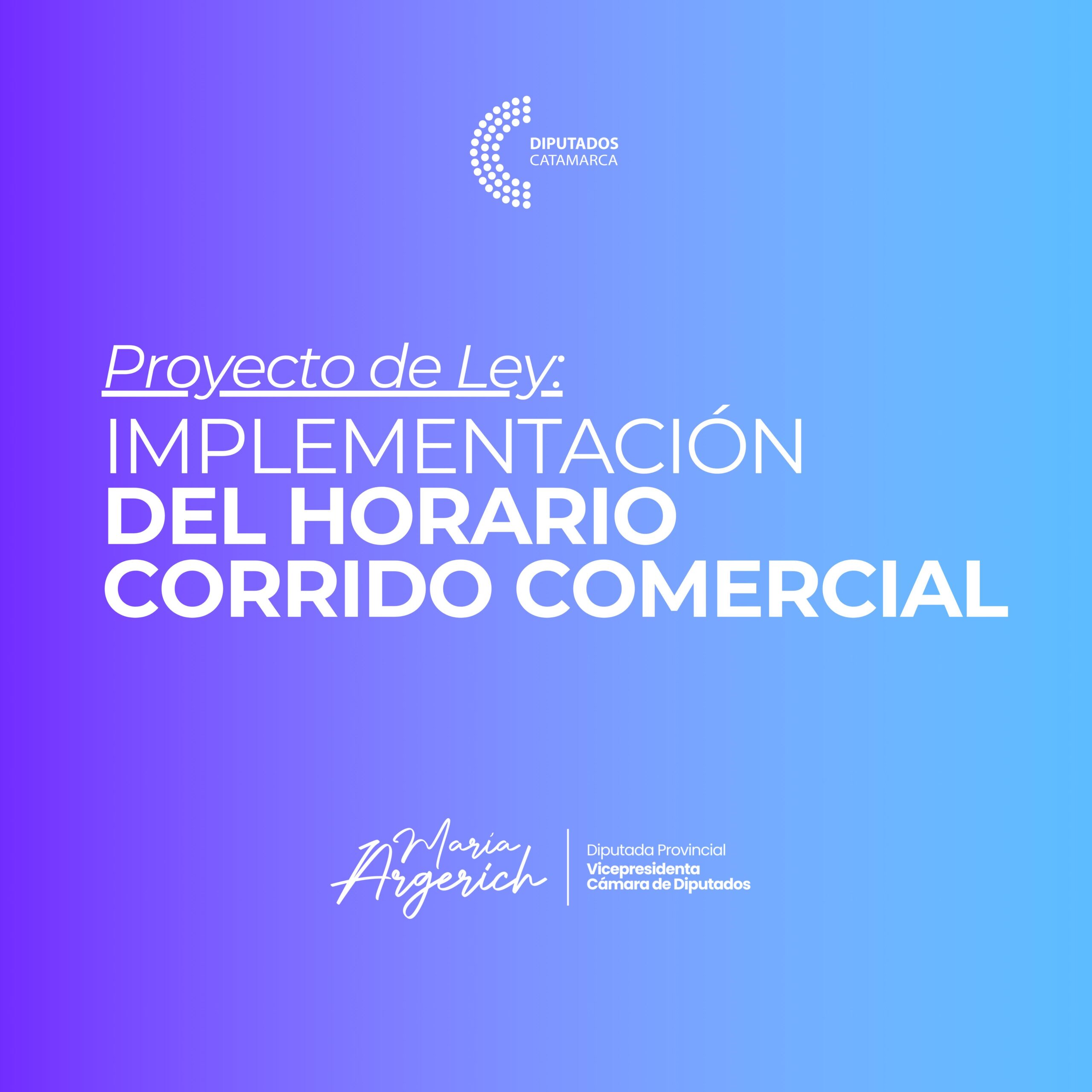 En la Décima Sesión Ordinaria del Período Legislativo 2024, Presenté un proyecto de Ley para Implementar el Horario Corrido Comercial.