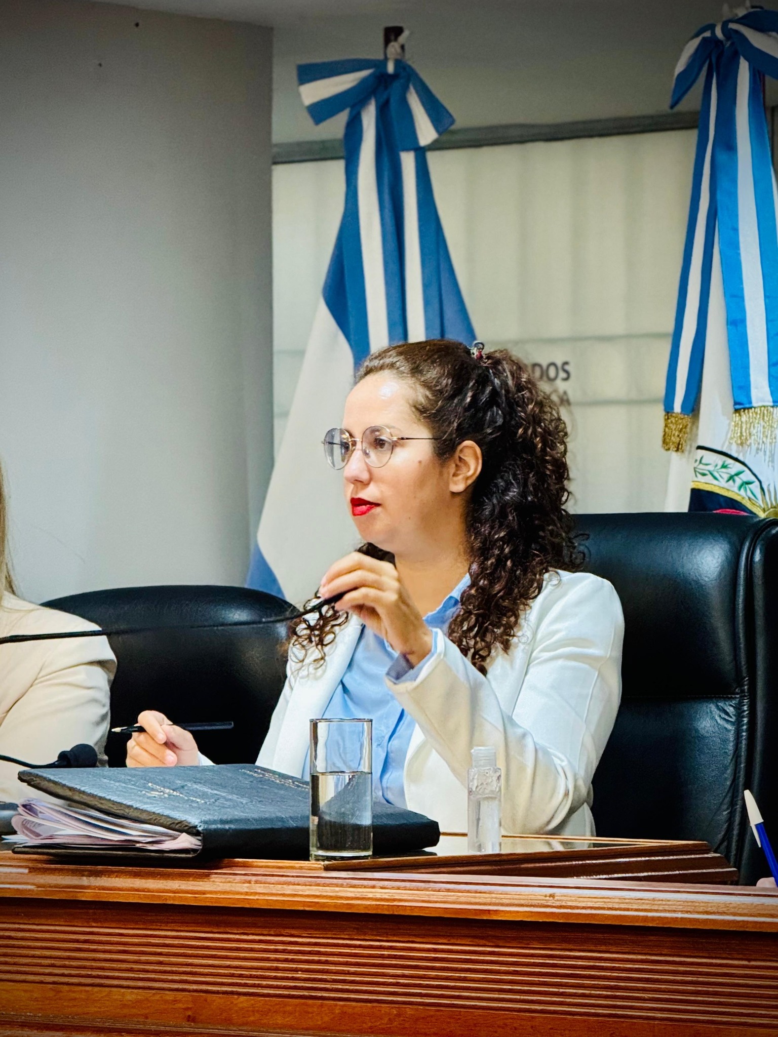 Hoy en 13° Sesión Ordinaria de la Cámara de Diputados de Catamarca aprobamos proyectos vinculados al deporte y la cultura.