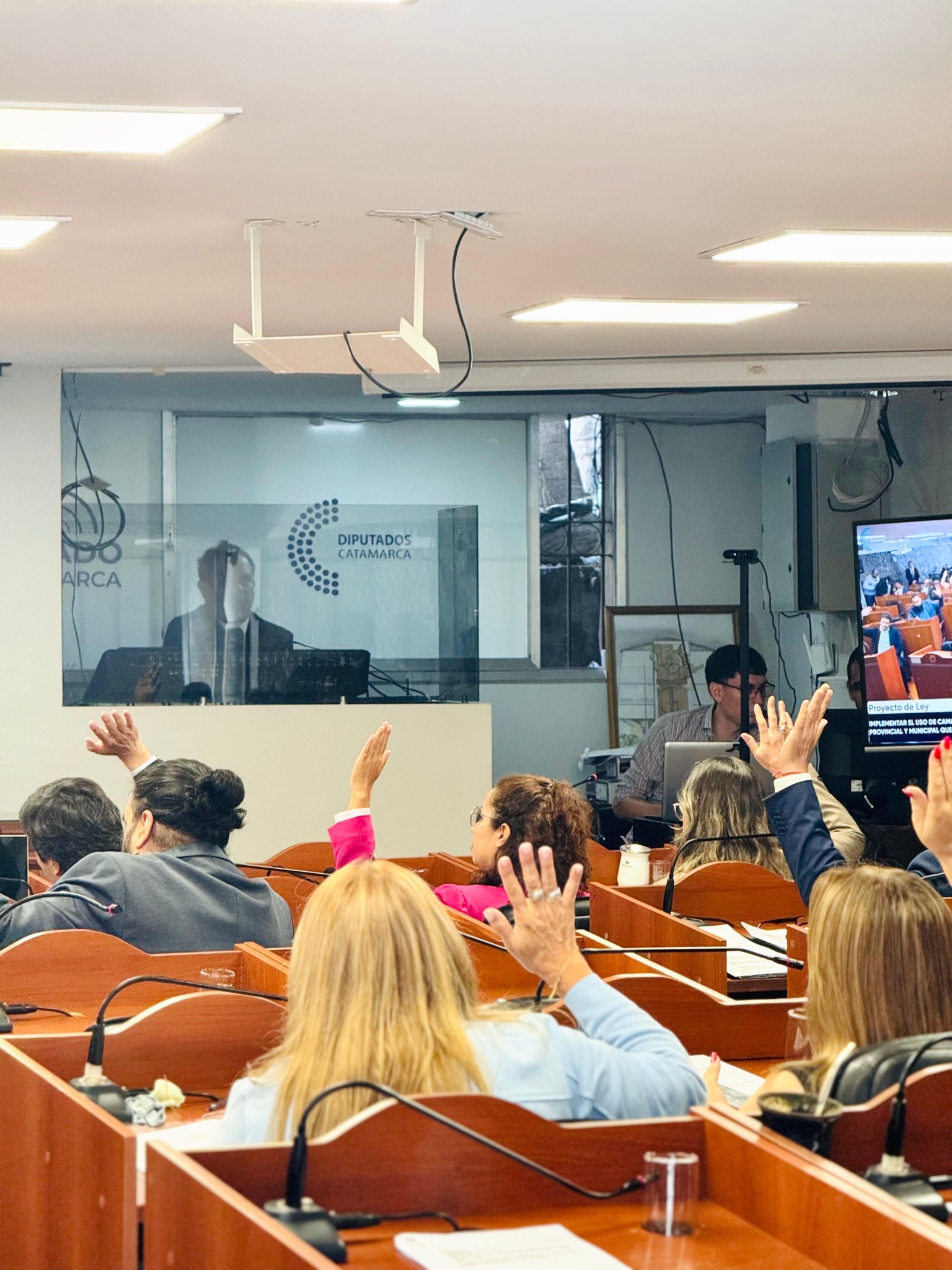 14° Sesión Ordinaria en la Cámara de Diputados