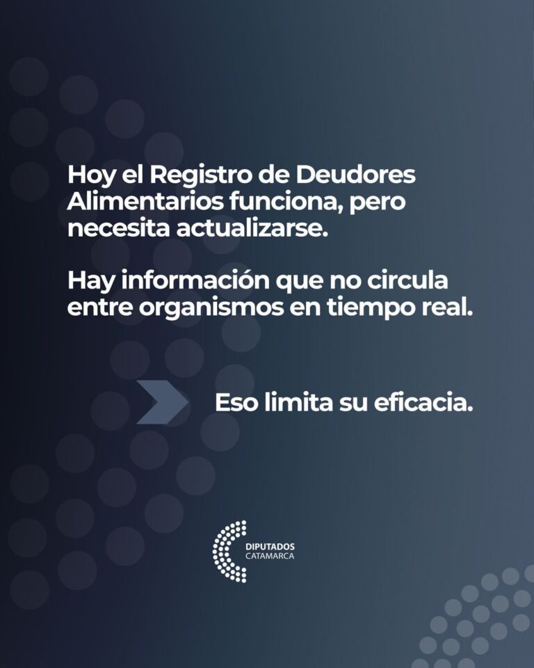 Junto al diputado Eduardo Andrada presentamos este proyecto de ley para modernizar el Registro de Deudores Alimentarios.
