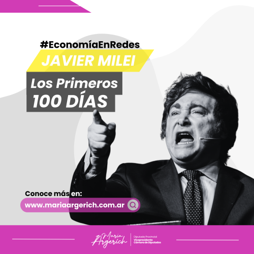 IMPACTO INICIAL DEL GOBIERNO DE JAVIER MILEI