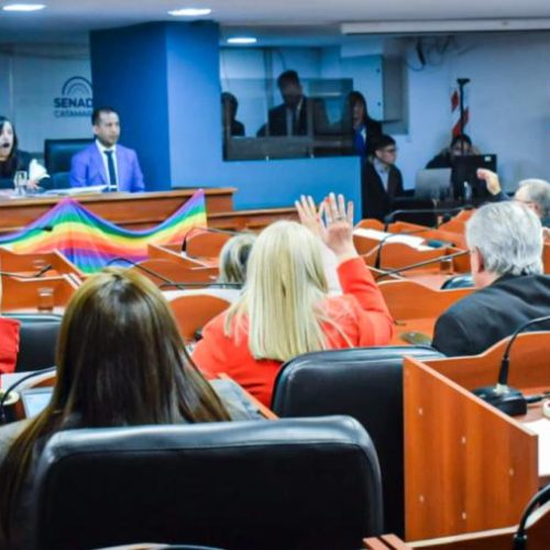 Diputados aprobó un Plan Alimentario con cruces políticos por el “inicio” de la pobreza