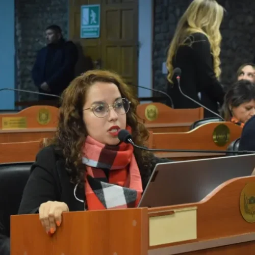 Proponen que el Índice de Crianza sea un criterio para las cuotas alimentarias en Catamarca