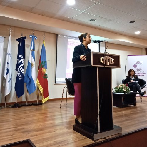Conversatorio sobre el Proyecto de Ley Olimpia