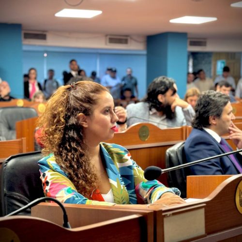 Primera Sesión extraordina en la Cámara de Diputados
