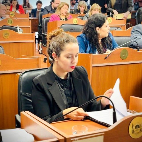 Hoy en la Novena Sesión Ordinaria en Diputados