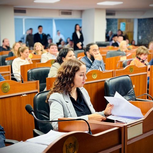 12° Sesión Ordinaria en la Cámara de Diputados