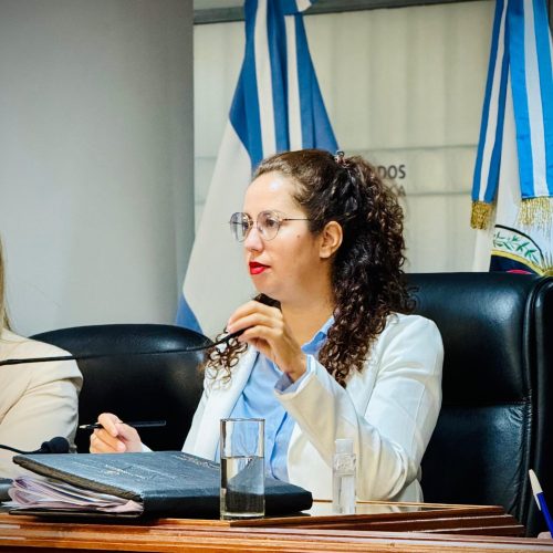 Hoy en 13° Sesión Ordinaria de la Cámara de Diputados de Catamarca aprobamos proyectos vinculados al deporte y la cultura.