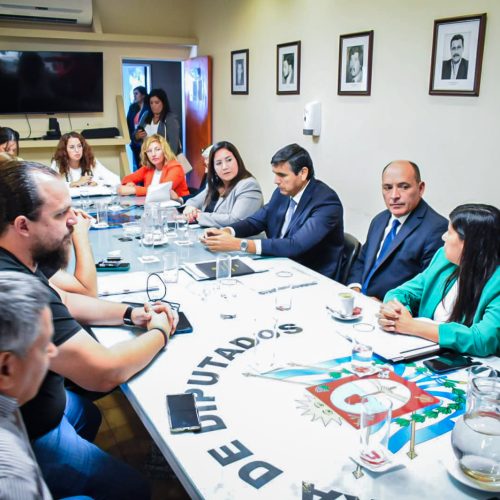La Cámara Baja recibió integrantes de la Corte de Justicia para analizar su Presupuesto