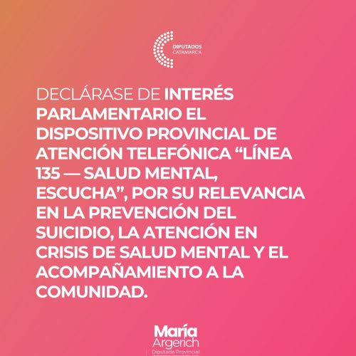 EN LA DÉCIMO TERCERA SESIÓN ORDINARIA DEL PERÍODO 136º DEL AÑO 2025 PRESENTÉ EL SIGUIENTE PROYECTO DE DECLARACIÓN: