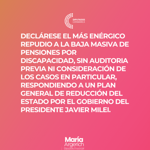 EN LA DÉCIMO SEGUNDA SESIÓN ORDINARIA DEL PERÍODO 136º DEL AÑO 2025 JUNTO AL BLOQUE DEL FDT PRESENTÉ EL SIGUIENTE PROYECTO DE DECLARACIÓN: