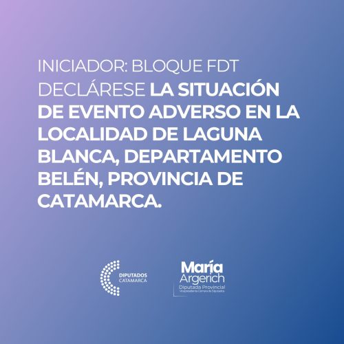 EN LA NOVENA SESIÓN ORDINARIA DEL PERÍODO 136º DEL AÑO 2025 JUNTO AL BLOQUE FRENTE DE TODOS PRESENTÉ EL SIGUIENTE PROYECTO DE LEY: