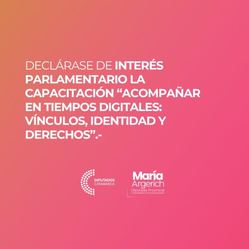 EN LA NOVENA SESIÓN ORDINARIA DEL PERÍODO 136º DEL AÑO 2025 PRESENTÉ EL SIGUIENTE PROYECTO DE DECLARACIÓN:
