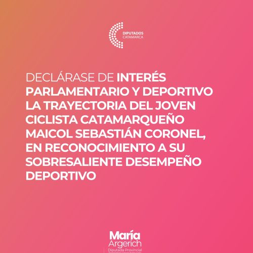 EN LA DÉCIMA SESIÓN ORDINARIA DEL PERÍODO 136º DEL AÑO 2025 PRESENTÉ EL SIGUIENTE PROYECTO DE DECLARACIÓN: