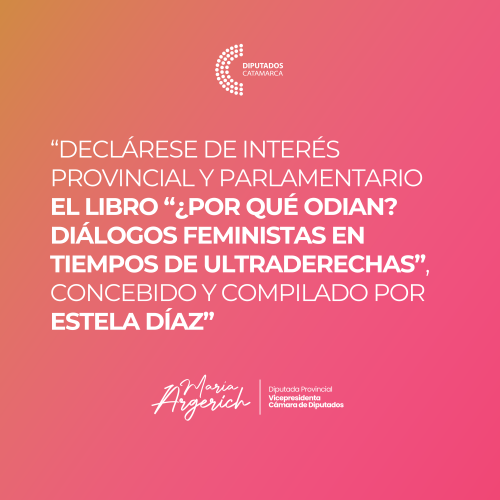 “DECLáRESE DE INTERéS PROVINCIAL Y PARLAMENTARIO EL LIBRO «¿POR QUé ODIAN? DIáLOGOS FEMINISTAS EN TIEMPOS DE ULTRADERECHAS», CONCEBIDO Y COMPILADO POR ESTELA DíAZ”.