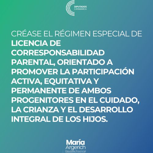 EN LA PRIMERA SESIÓN ORDINARIA DEL PERÍODO 136º DEL AÑO 2025 PRESENTÉ UN NUEVO PROYECTO DE LEY: