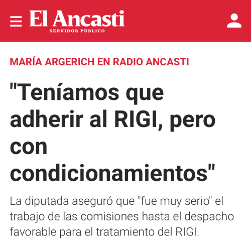 «Teníamos que adherir al RIGI, pero con condicionamientos»