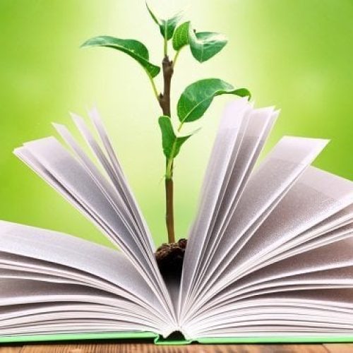 Incorporación de la Educación Ambiental en la Curricula de la Enseñanza Oficial