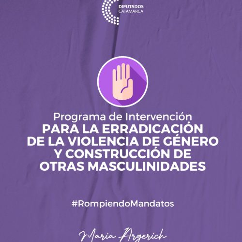 Programa de Intervención para la erradicación de la violencia de género y construcción de otras masculinidades.