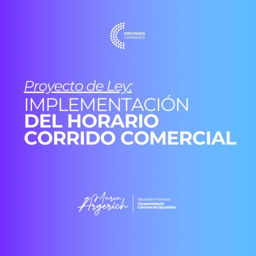 En la Décima Sesión Ordinaria del Período Legislativo 2024, Presenté un proyecto de Ley para Implementar el Horario Corrido Comercial.