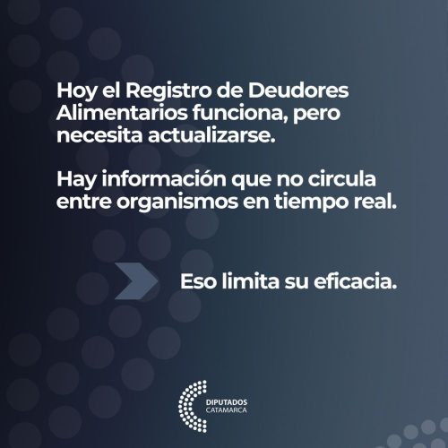 Junto al diputado Eduardo Andrada presentamos este proyecto de ley para modernizar el Registro de Deudores Alimentarios.